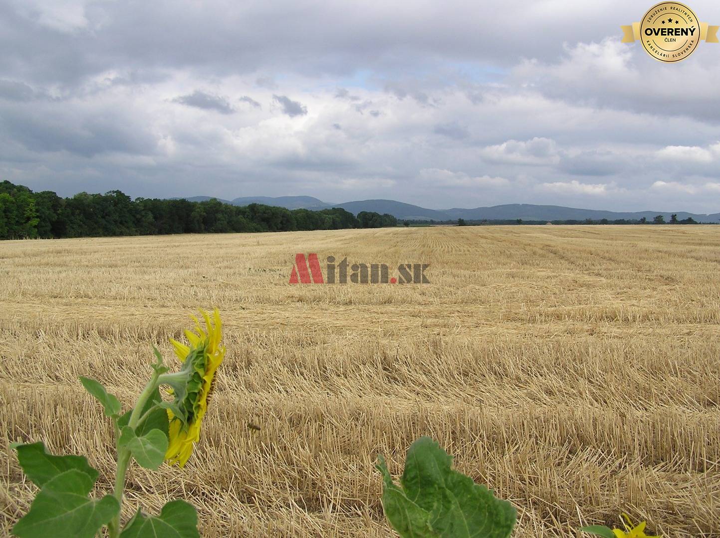 Kúpime ornú pôdu na poľnohospodárske účely, Trnavský kraj