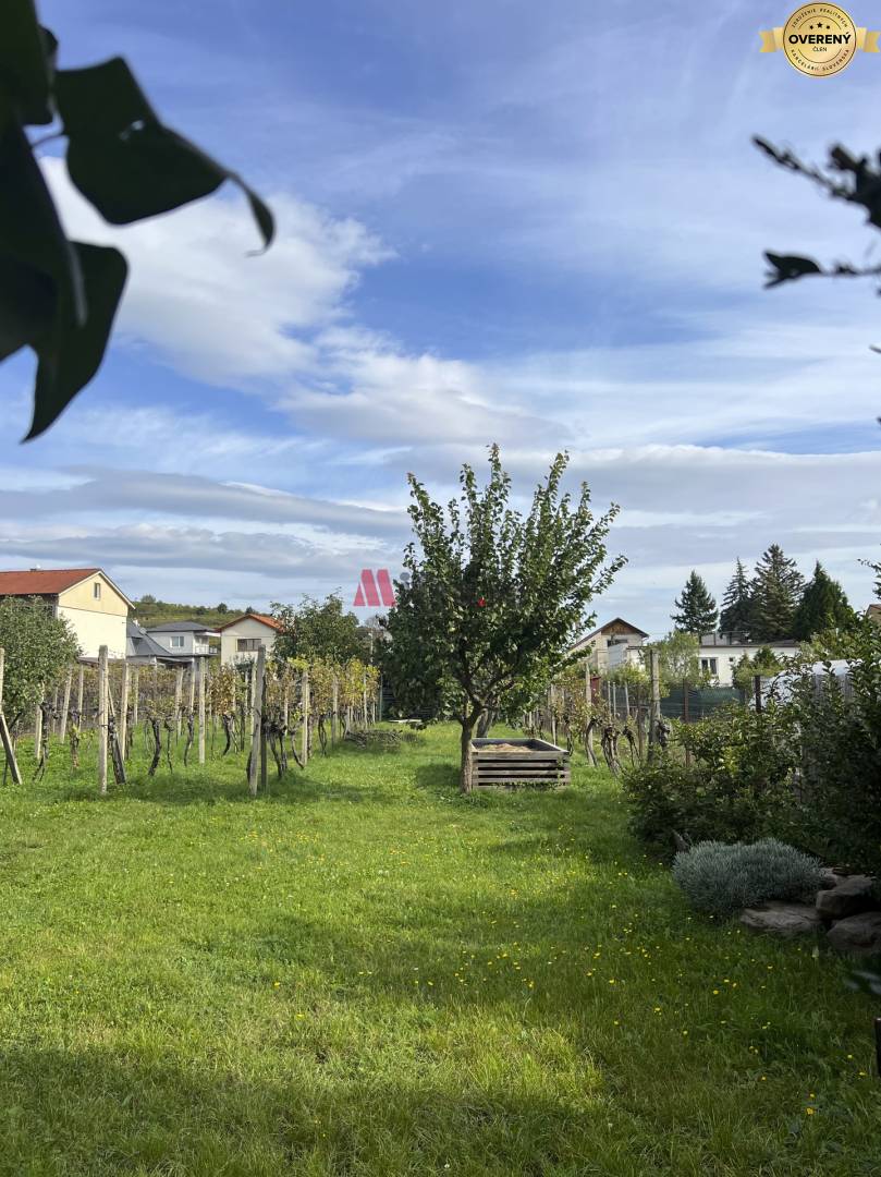 záhrada pohľad.JPEG