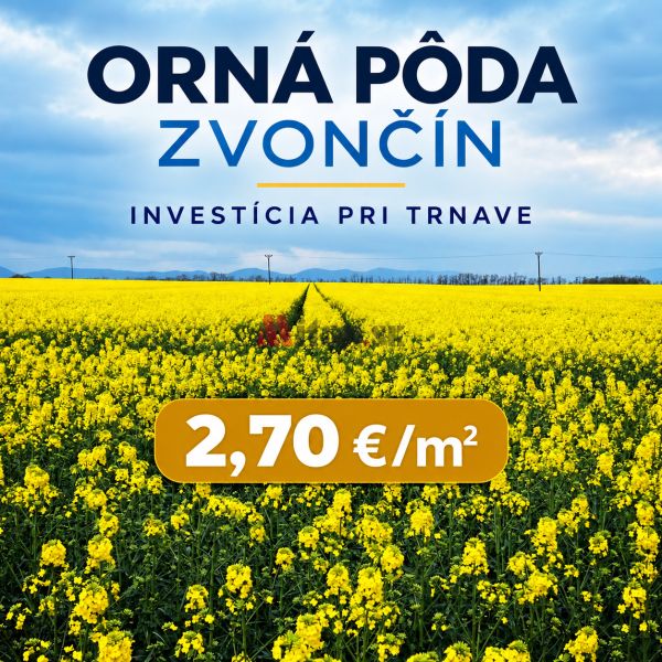 Zvončín 2,70.png